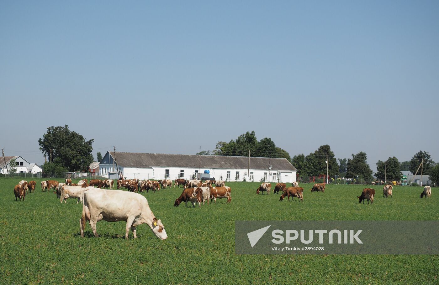 Kladovaya Solntsa farm