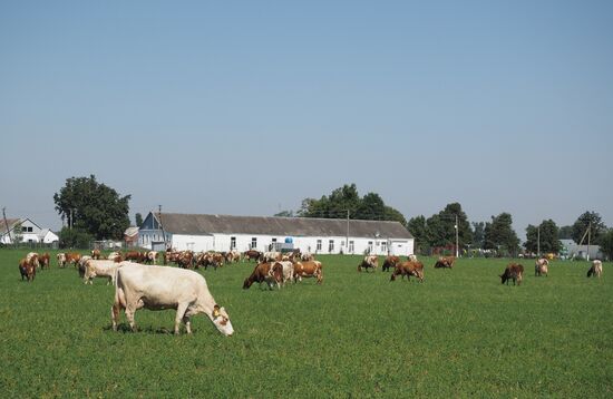 Kladovaya Solntsa farm