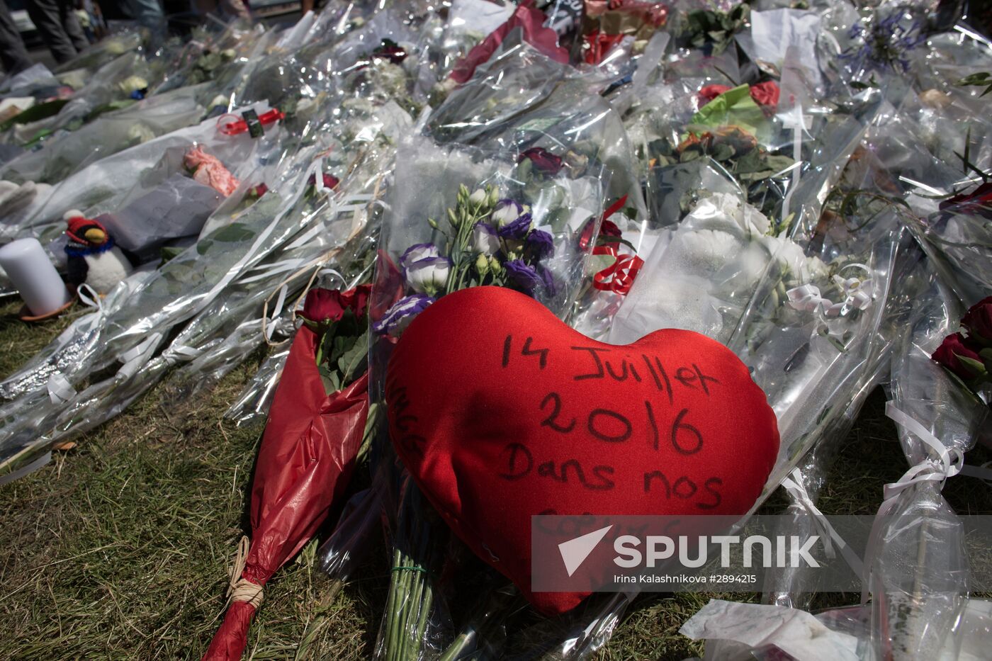 Nice following terrorist attack