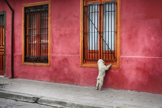 Cities of the world. Santiago de Chile