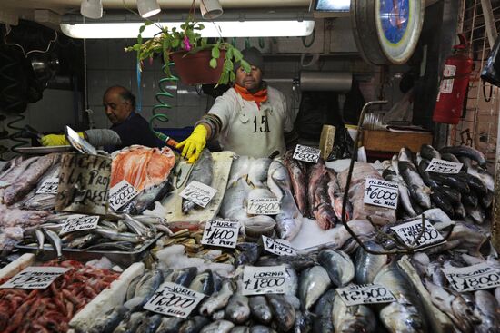 Cities of the world. Santiago de Chile