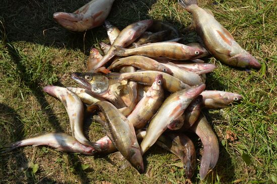 Kama Ukha Soup Festival and Fishing Championship
