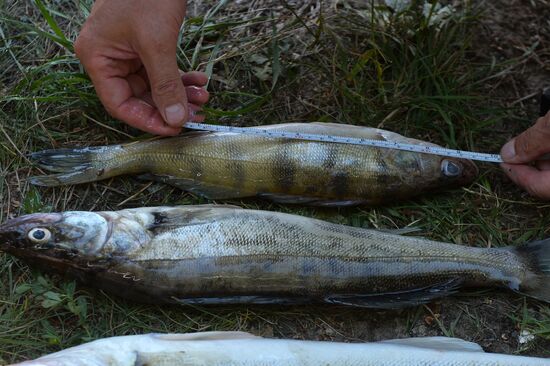Kama Ukha Soup Festival and Fishing Championship