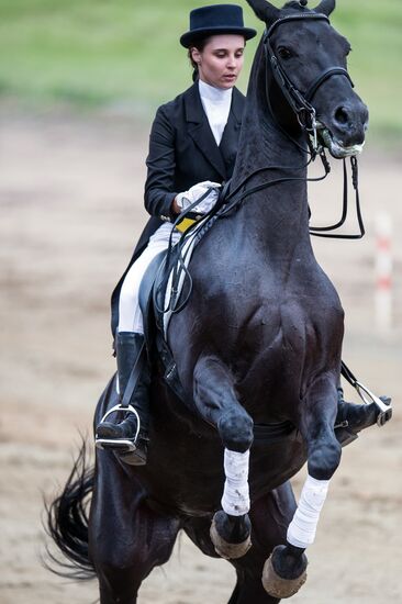 The Grand Siberian Circle equestrian sports competition