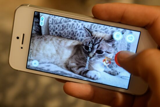 Pokémon Go, mobile game from Nintendo