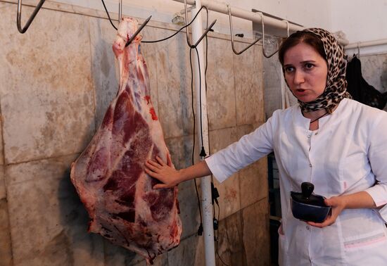Cattle meat is tested for lumpy skin disease