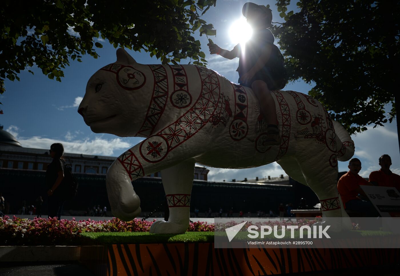 Wild Cats Parade environmental art festival