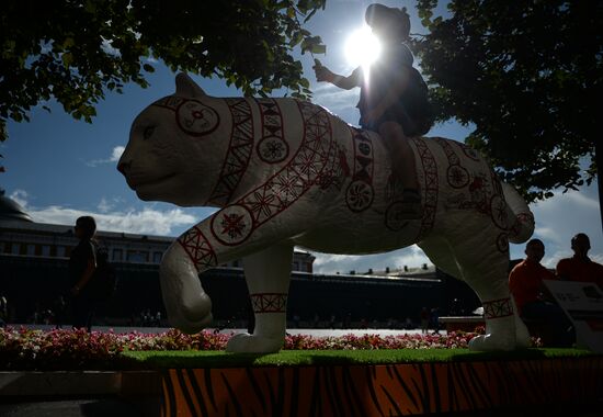 Wild Cats Parade environmental art festival