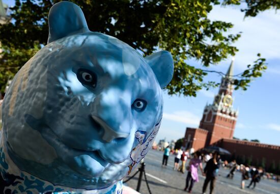 Wild Cats Parade environmental art festival