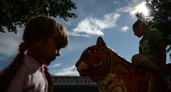 Wild Cats Parade environmental art festival