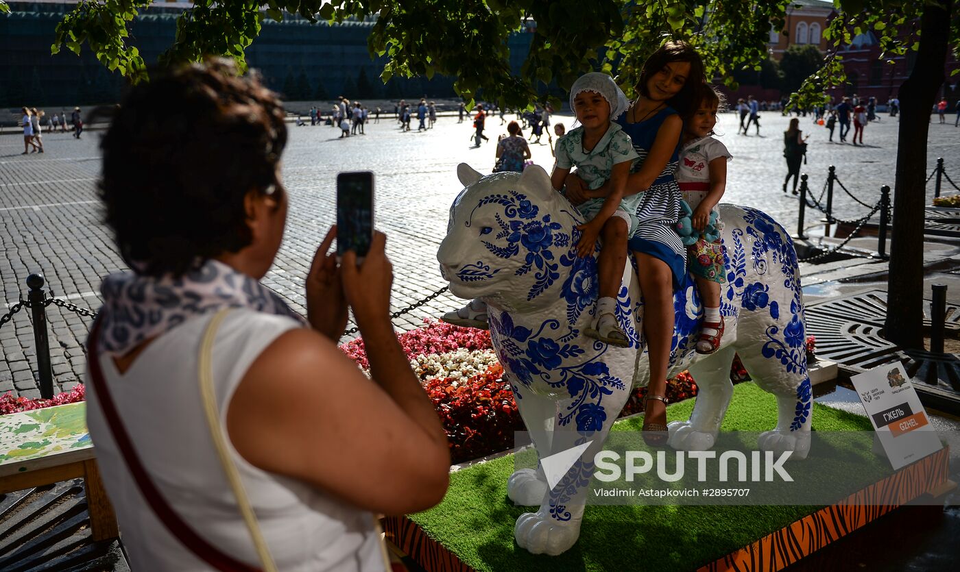 Wild Cats Parade environmental art festival