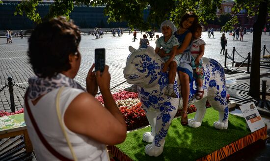 Wild Cats Parade environmental art festival