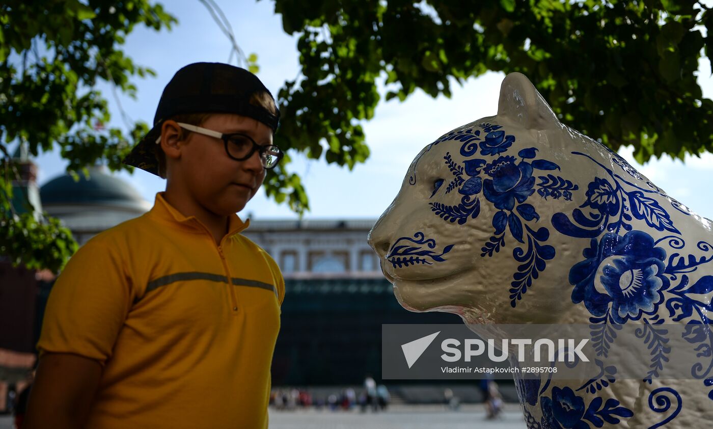 Wild Cats Parade environmental art festival