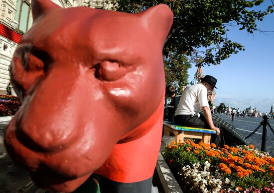 Wild Cats Parade environmental art festival