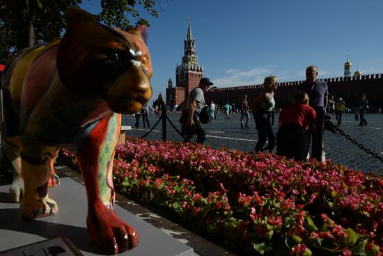 Wild Cats Parade environmental art festival