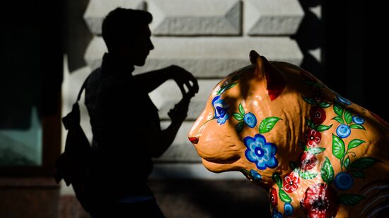 Wild Cats Parade environmental art festival