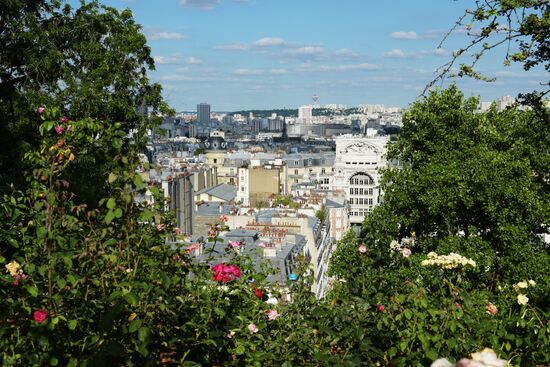 Cities of the world. Paris