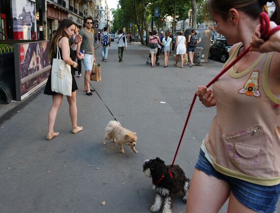 Cities of the world. Paris