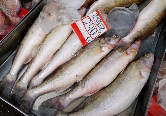 Kaliningrad market