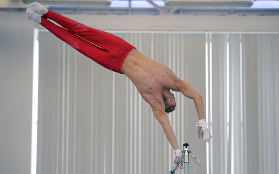 Artistic gymnastics. Russian national teams prepare for Olympics