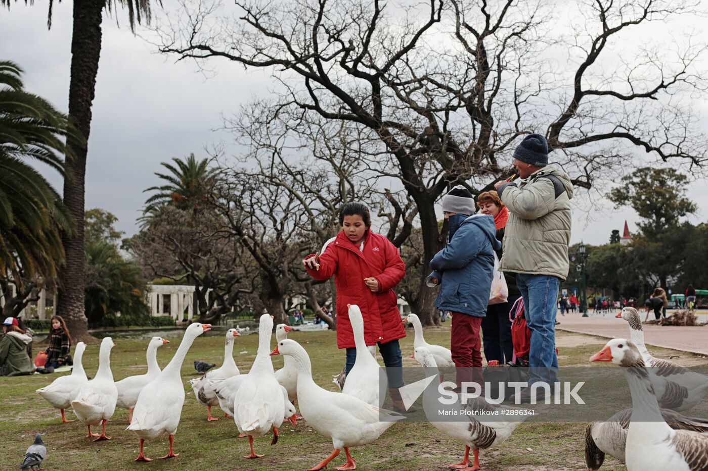 Cities of the world. Buenos Aires