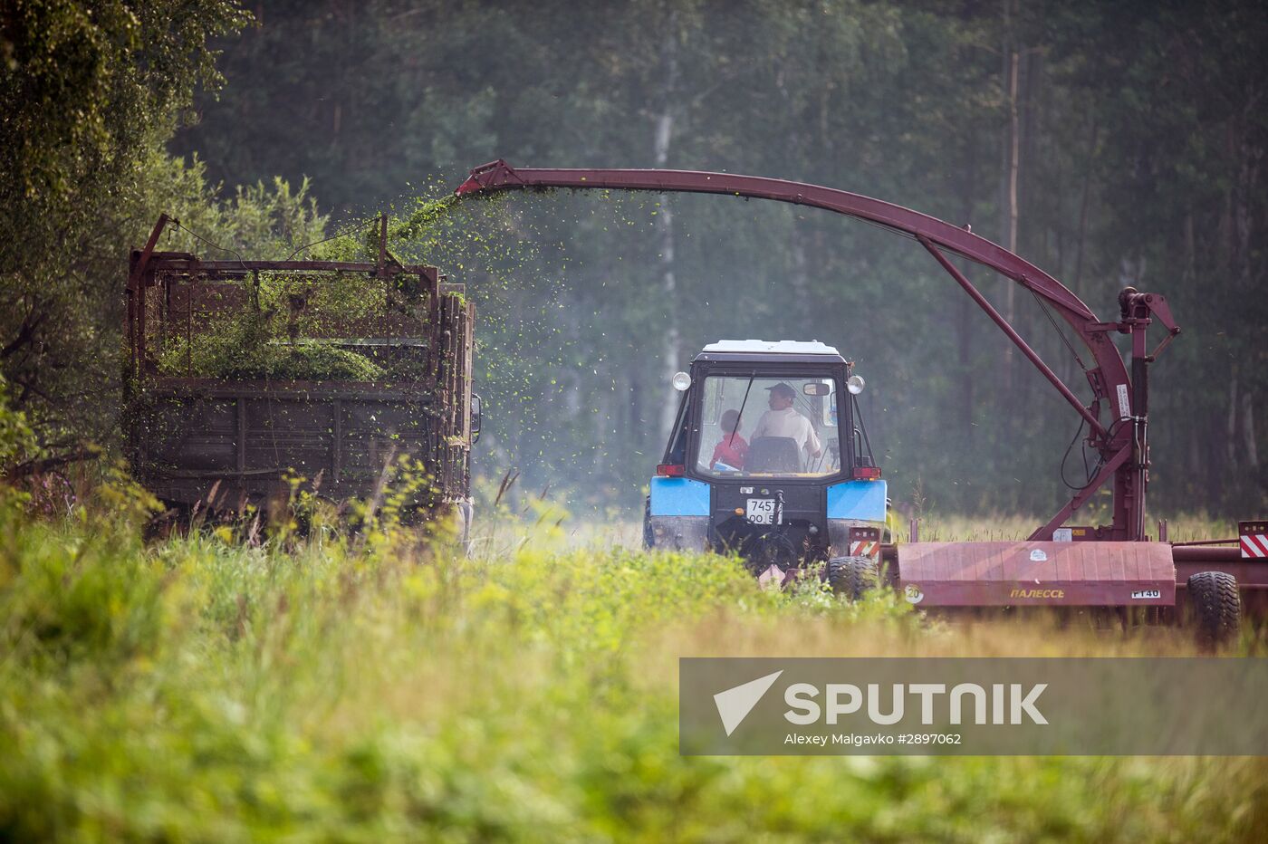 Farm work in Lozhnikovo, Omsk Region