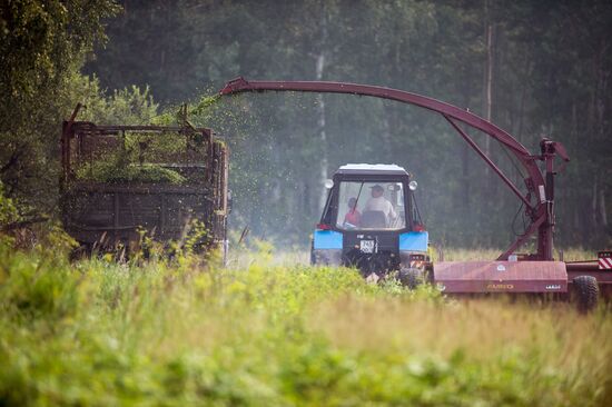 Farm work in Lozhnikovo, Omsk Region