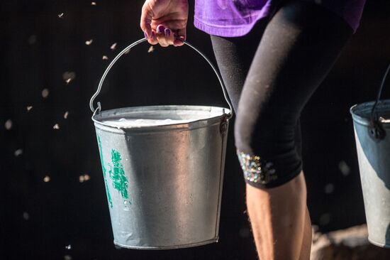 Farm work in Lozhnikovo, Omsk Region