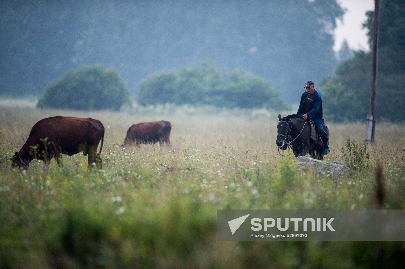 Farm work in Lozhnikovo, Omsk Region