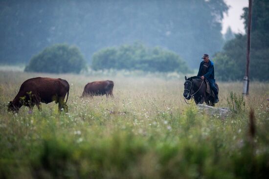 Farm work in Lozhnikovo, Omsk Region