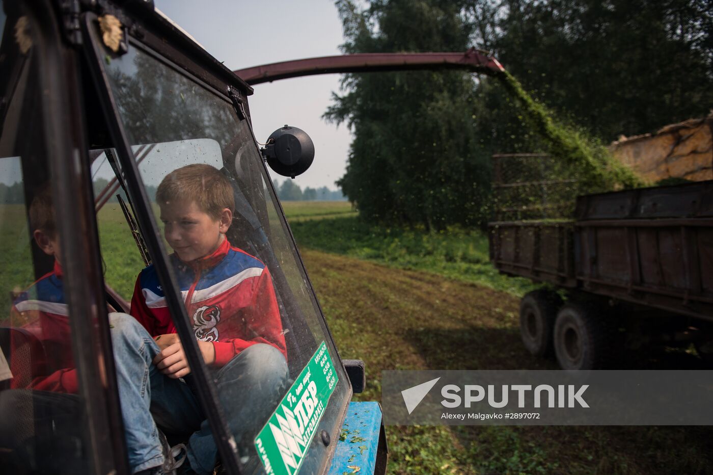 Farm work in Lozhnikovo, Omsk Region