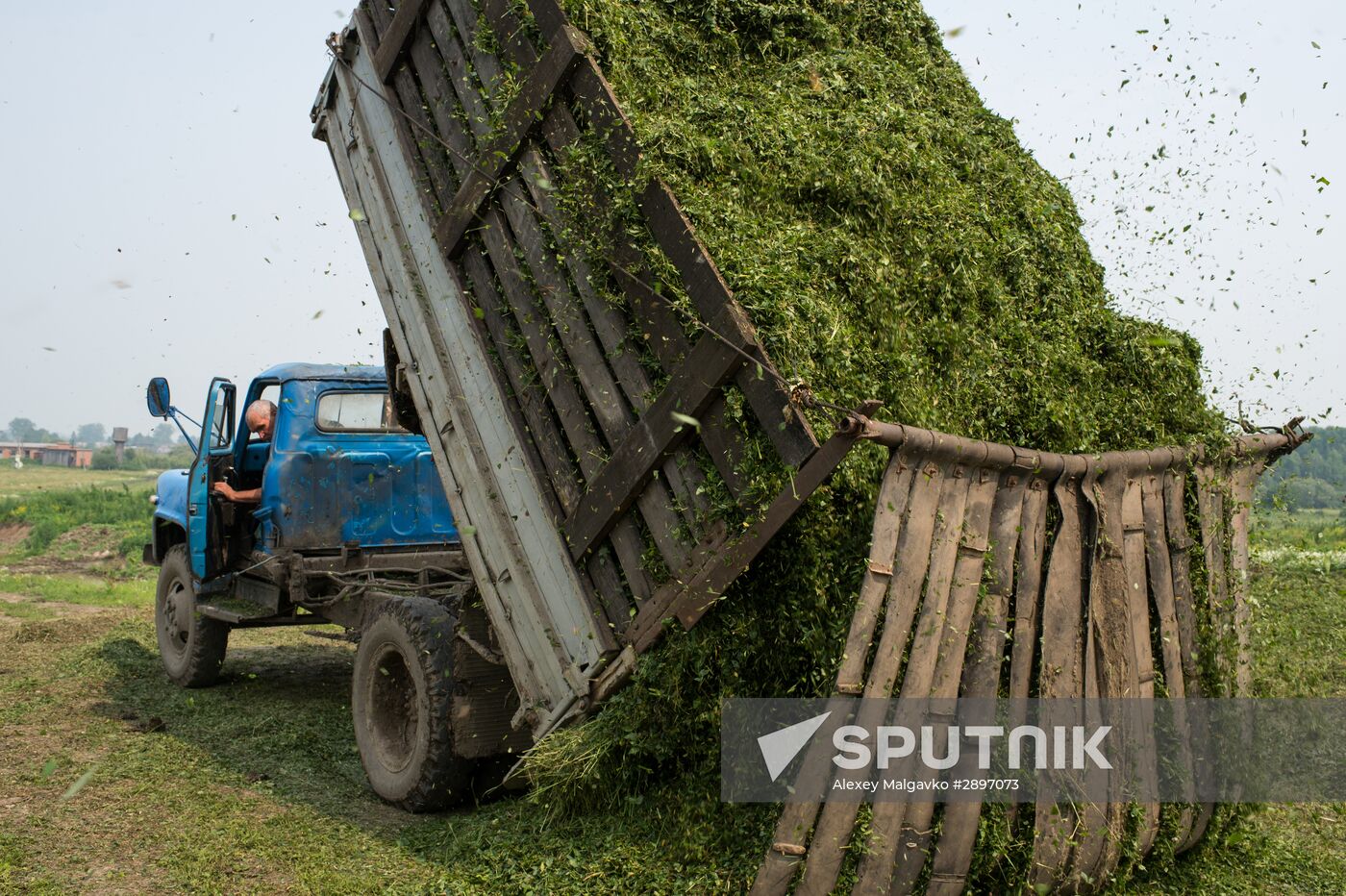 Farm work in Lozhnikovo, Omsk Region