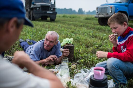 Farm work in Lozhnikovo, Omsk Region