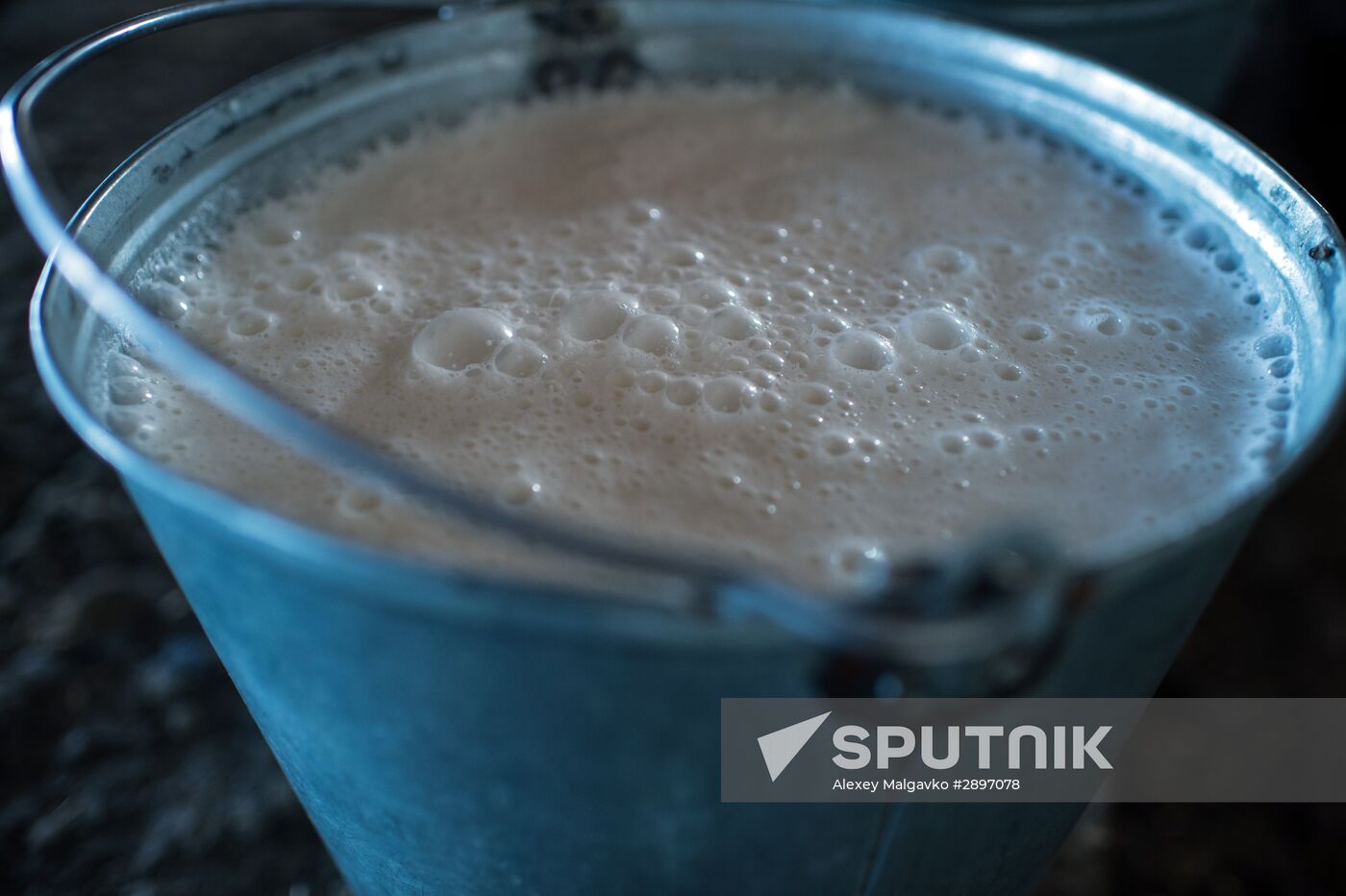 Farm work in Lozhnikovo, Omsk Region