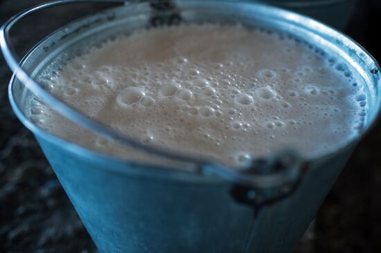 Farm work in Lozhnikovo, Omsk Region