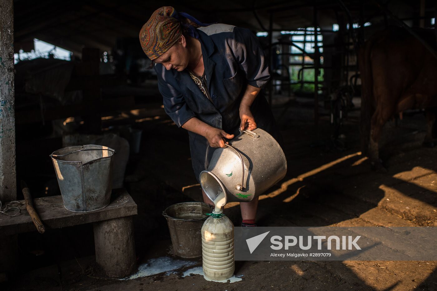Farm work in Lozhnikovo, Omsk Region