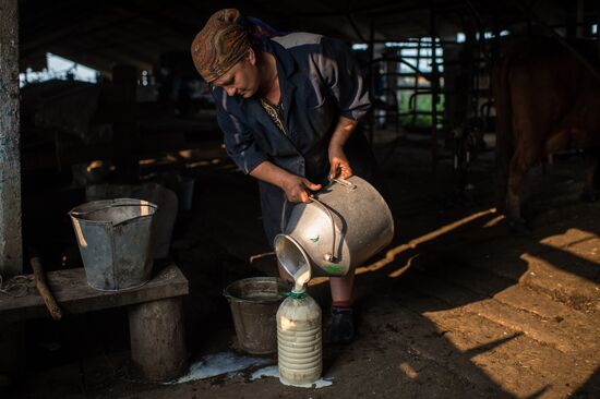 Farm work in Lozhnikovo, Omsk Region