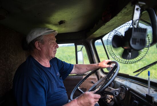 Farm work in Lozhnikovo, Omsk Region