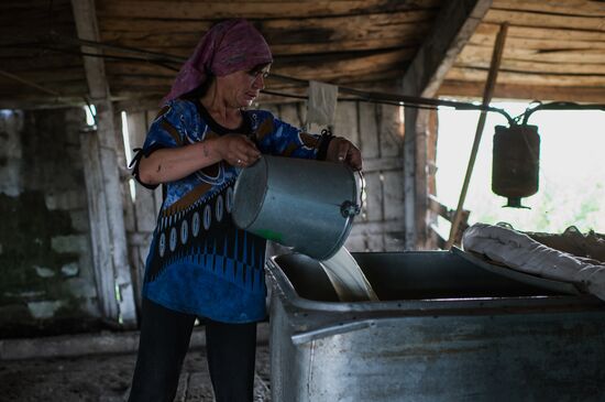 Farm work in Lozhnikovo, Omsk Region