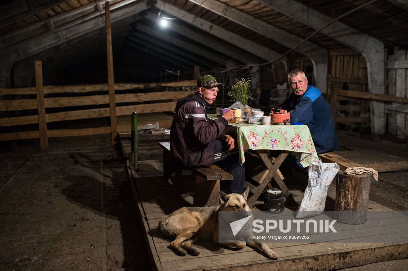 Farm work in Lozhnikovo, Omsk Region