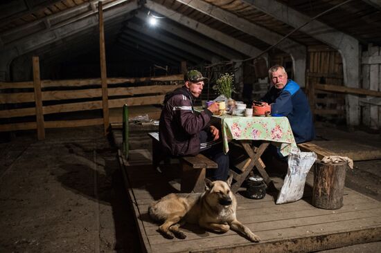 Farm work in Lozhnikovo, Omsk Region