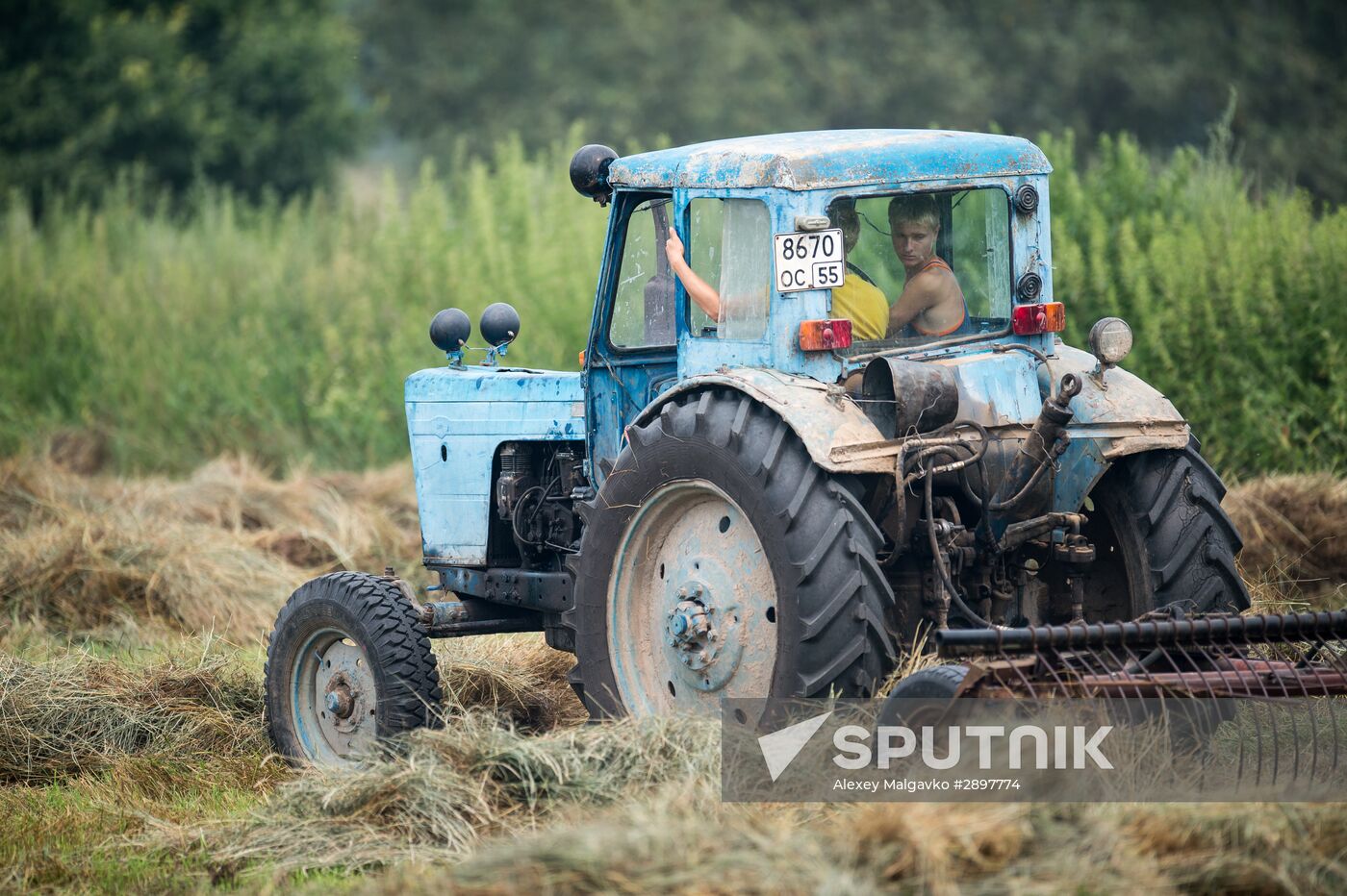 Hay making in Omsk Region
