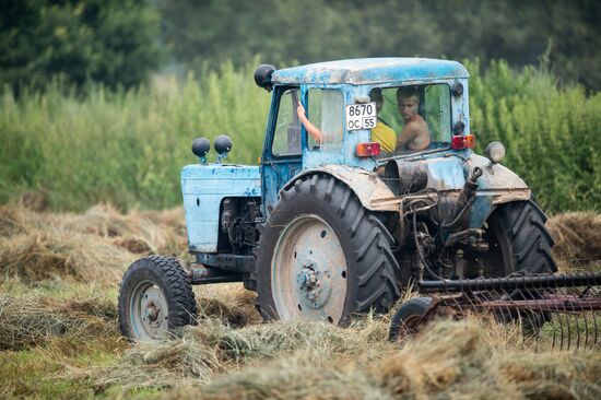 Hay making in Omsk Region