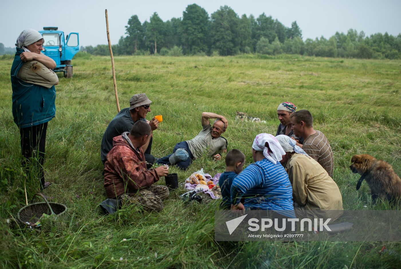 Harvesting hay in Omsk region