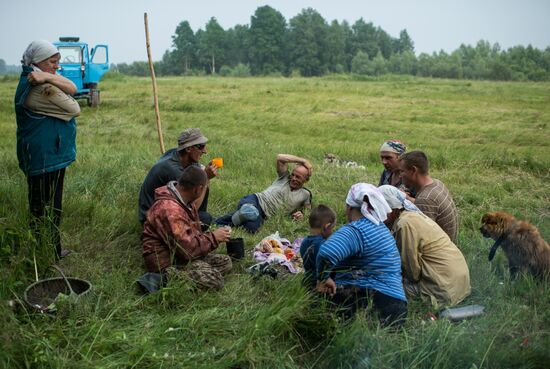 Harvesting hay in Omsk region