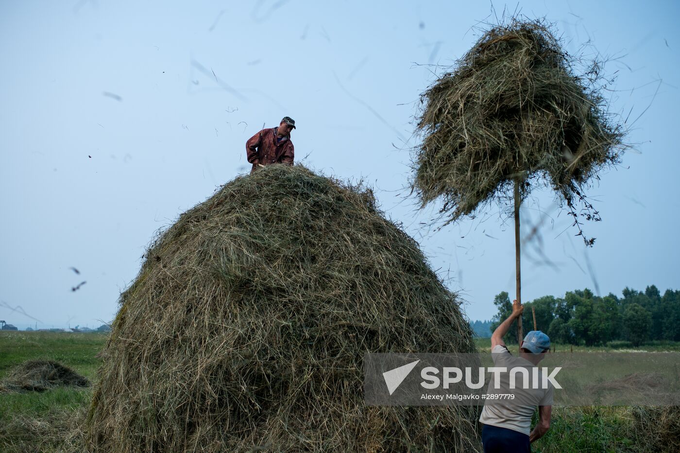Harvesting hay in Omsk region