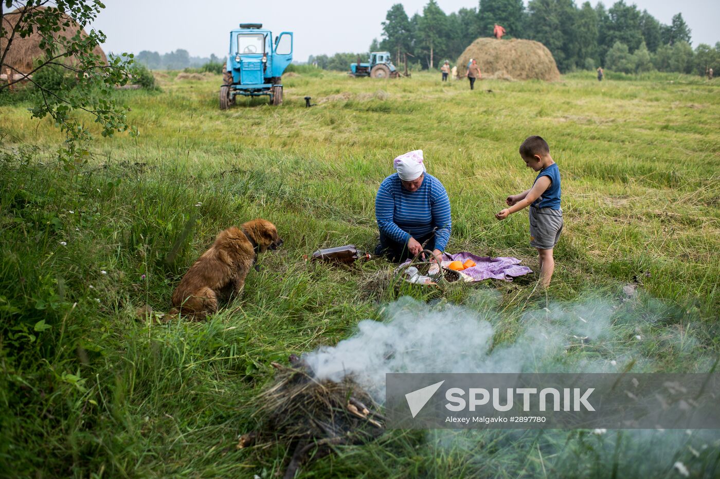 Harvesting hay in Omsk region