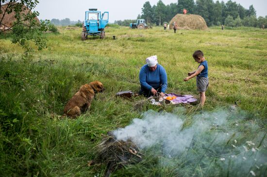 Harvesting hay in Omsk region