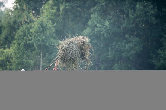 Harvesting hay in Omsk region