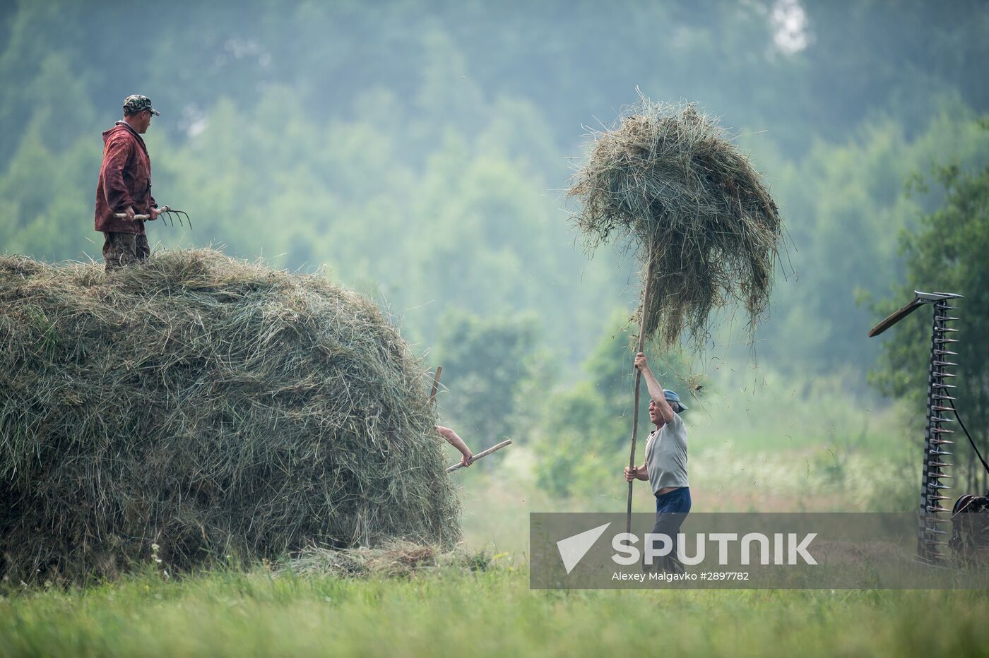 Harvesting hay in Omsk region